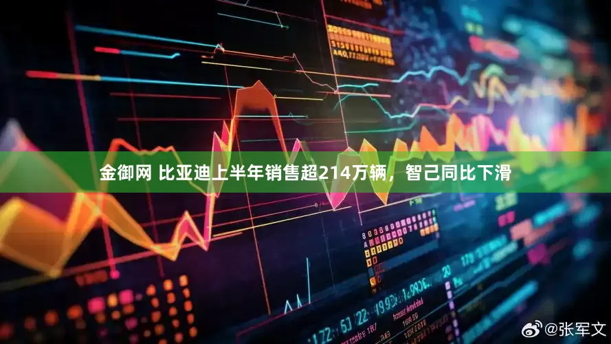 金御网 比亚迪上半年销售超214万辆，智己同比下滑