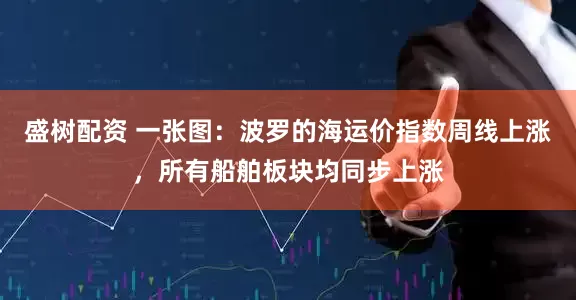 盛树配资 一张图：波罗的海运价指数周线上涨，所有船舶板块均同步上涨
