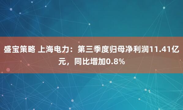 盛宝策略 上海电力：第三季度归母净利润11.41亿元，同比增加0.8%