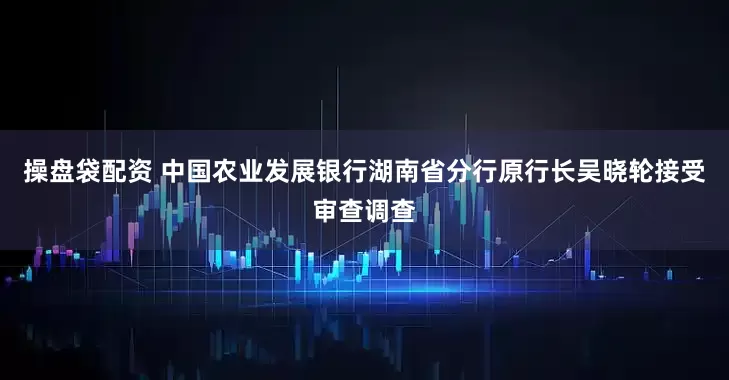 操盘袋配资 中国农业发展银行湖南省分行原行长吴晓轮接受审查调查