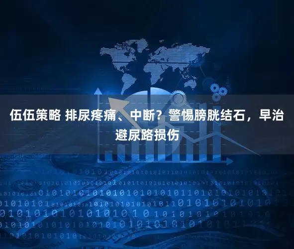 伍伍策略 排尿疼痛、中断？警惕膀胱结石，早治避尿路损伤